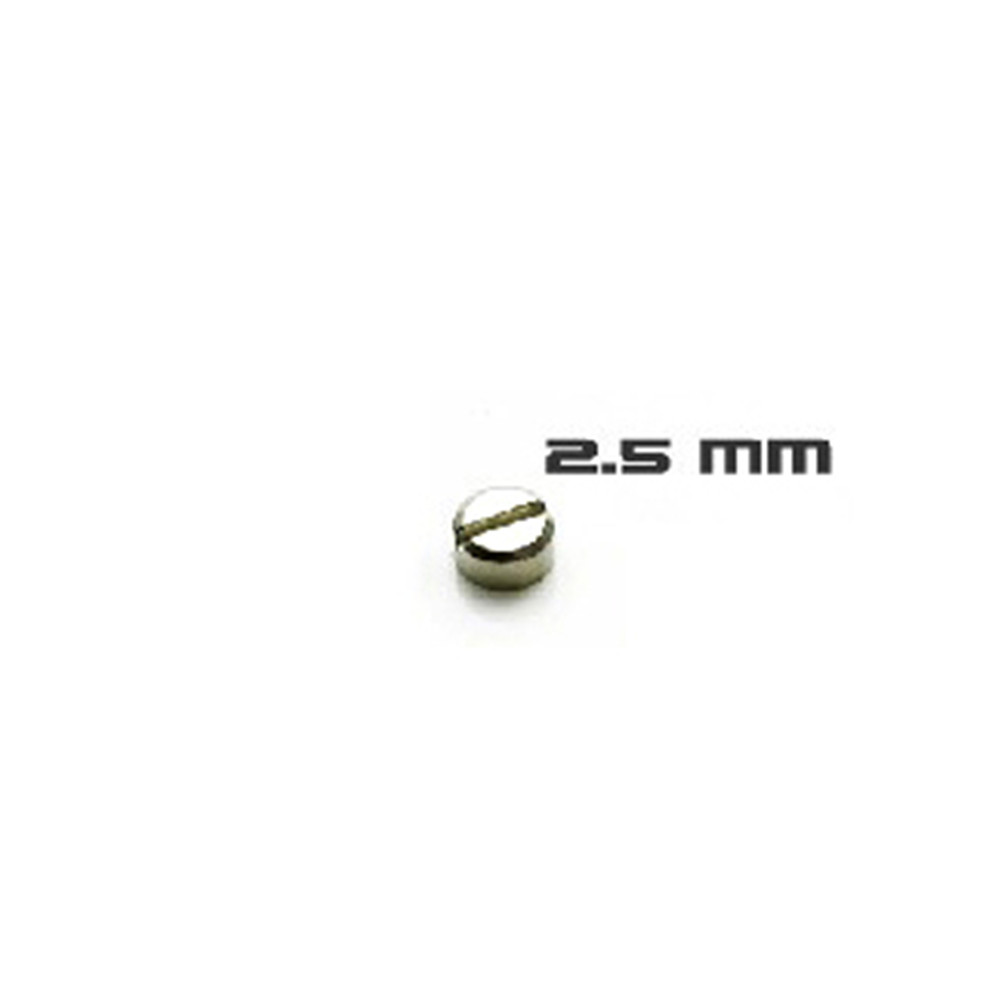 30 parafusos blindados dos pce - Model Kit Gundam Mg avaliação e preço